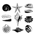 black monochrome of marine shells vector image vector image