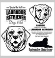 labrador retriever dog - set on white vector image