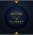 premium diamond logo template in line style design vector image