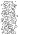 peonies seamless vertical border vector image