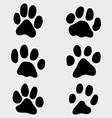 paw of cats vector image vector image