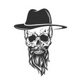 skull with hat beard and mustache vector image