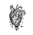dotwork heart with blood vector image