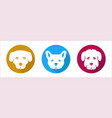 set of dogs vector image vector image