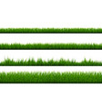 green grass border isolated white background vector image vector image
