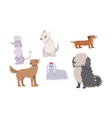 set funny big and small dogs breeds vector image vector image