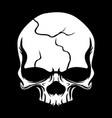 head skull vector image