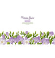 seamless border of purple freesia flowers vector image
