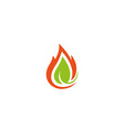 creative flame leaf symbol logo vector image
