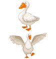 goose vector image