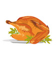 turkey roast with rosemary - side view vector image vector image
