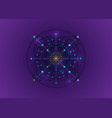 sacred geometry blue seed life symbol logo vector image vector image