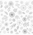 hand drawn floral pattern with flowers vector image