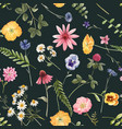 beautiful floral summer seamless pattern vector image