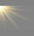 sunlight lens flash light effect sun ray vector image