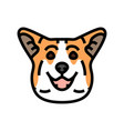 pembroke welsh corgi dog puppy pet color icon vector image