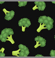 broccoli vegetables seamless pattern on black vector image vector image