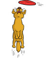 cartoon dog catches frisbee vector image vector image