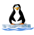 penguin vector image vector image