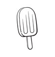 fruit popsicle ice lolly vector image vector image