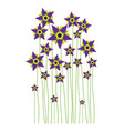 spring flower early flowers isolated vector image vector image