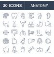 set of line icons anatomy and physiology vector image