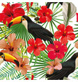 toucan leaves and flowers seamless pattern white vector image
