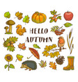 hello autumn poster with isolated thematic vector image