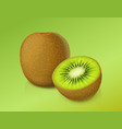 kiwi exotic ripe juicy fruit vector image