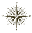 classic wind rose isolated on white background vector image