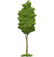 tree vector image vector image