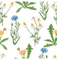 seamless background of various drawn wildflowers vector image vector image