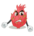rambutan vector image vector image