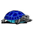 tropical turtle icon cartoon vector image vector image