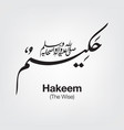 hakeem vector image