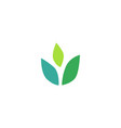 three leaves leaf logo icon design inspiration vector image