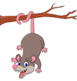 cartoon funny opossum on a tree branch vector image