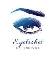 lady stylish eye and brows with full lashes vector image