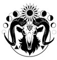esoteric composition a goats skull sun vector image vector image