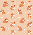 corgi seamless pattern cute puppies background vector image vector image