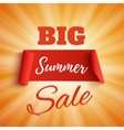 big summer sale poster vector image vector image