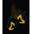 two fiery butterflies on a black background with s vector image