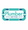 plumber service isolated icon house plumbing vector image
