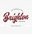 original brush script font retro typeface vector image vector image