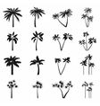 palm tree icons set simple style vector image