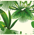 tropical leaves seamless white background vector image vector image