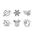 mint leaves and snowflake icons set sea vector image
