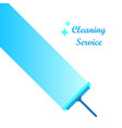 cleaning service logo vector image