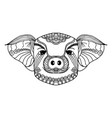 pig zodiac line art hand drawn and animal concept vector image