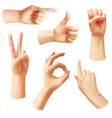 realistic hand various gestures human hands ok vector image